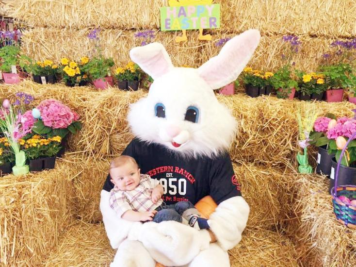 Eggcellent Ideas for Easter Weekend Around Vacaville Visit Vacaville